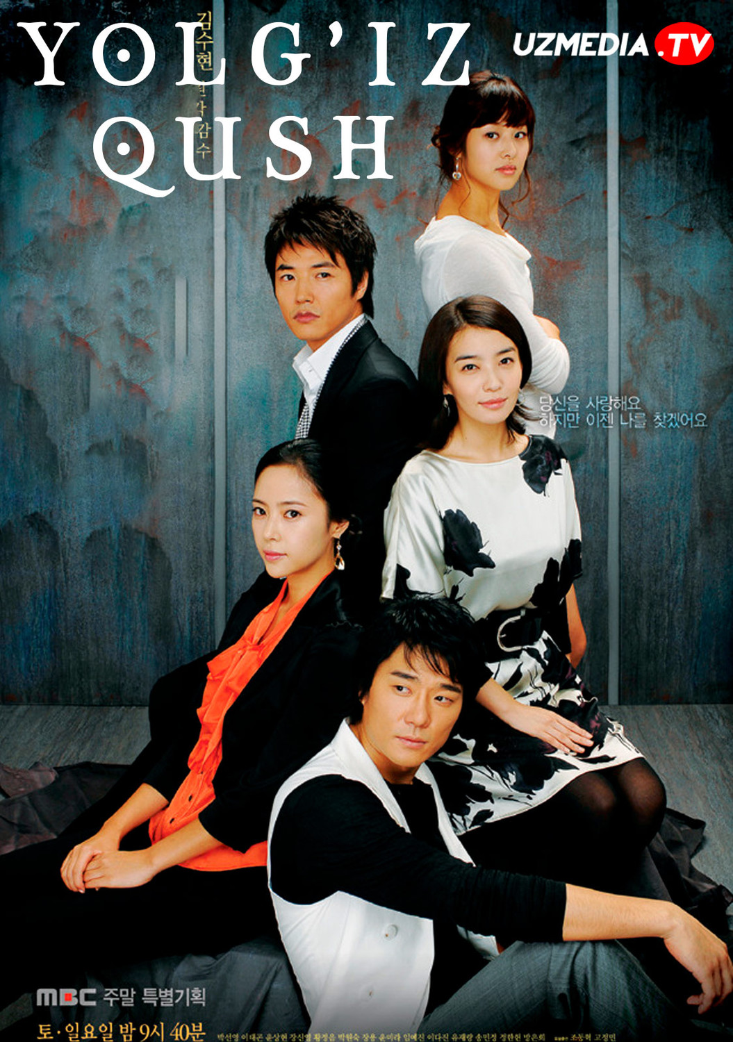 Yolg'iz qush / Qishki qush Koreya seriali Barcha qismlar Uzbek tilida O'zbekcha 2008 tarjima serial Full HD skachat