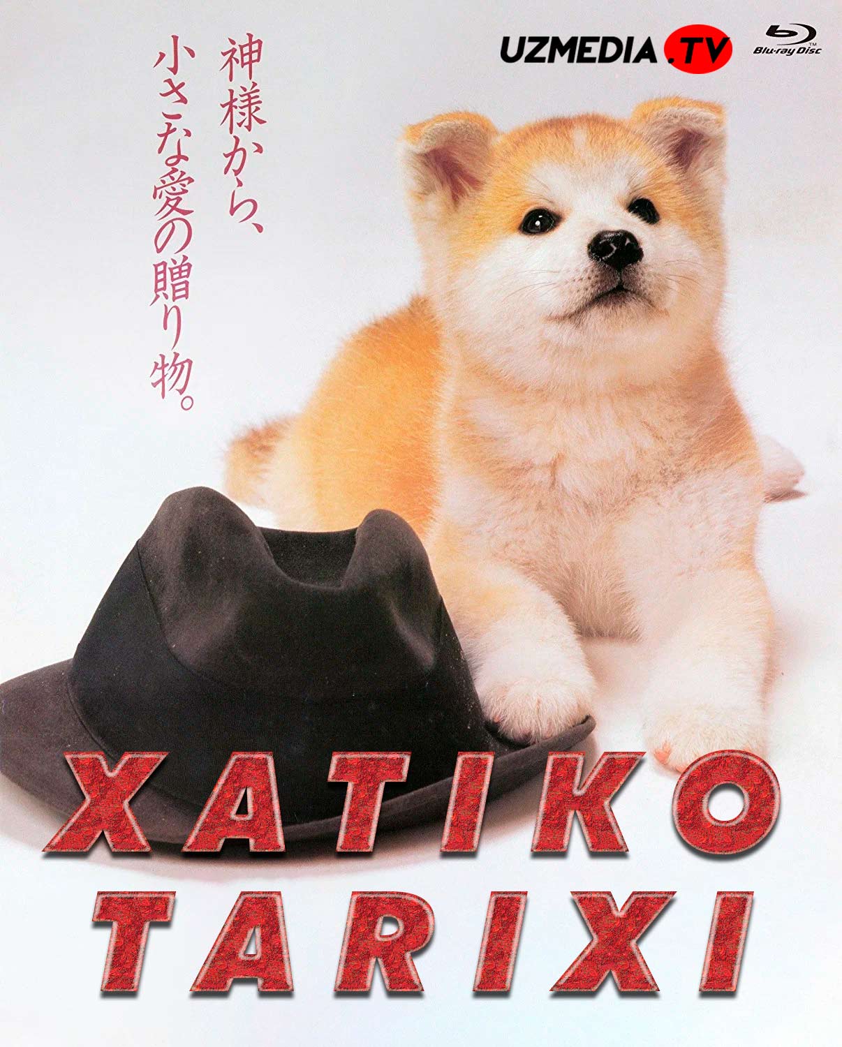 Xatiko tarixi / Hachiko Yaponiya retro filmi Uzbek tilida O'zbekcha 1987 tarjima kino Full HD skachat