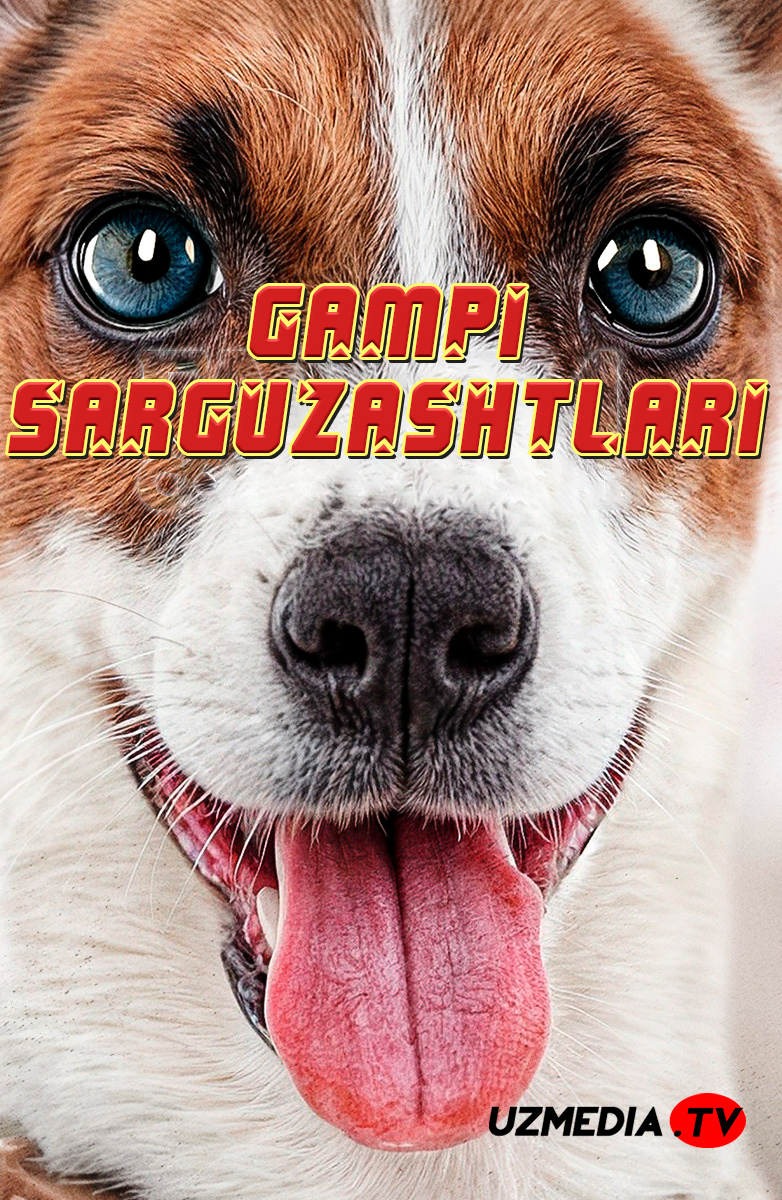 Gampining sarguzashtlari / Gampi: Itning hayoti Chexiya filmi Uzbek tilida O'zbekcha 2024 tarjima kino Full HD tas-ix skachat