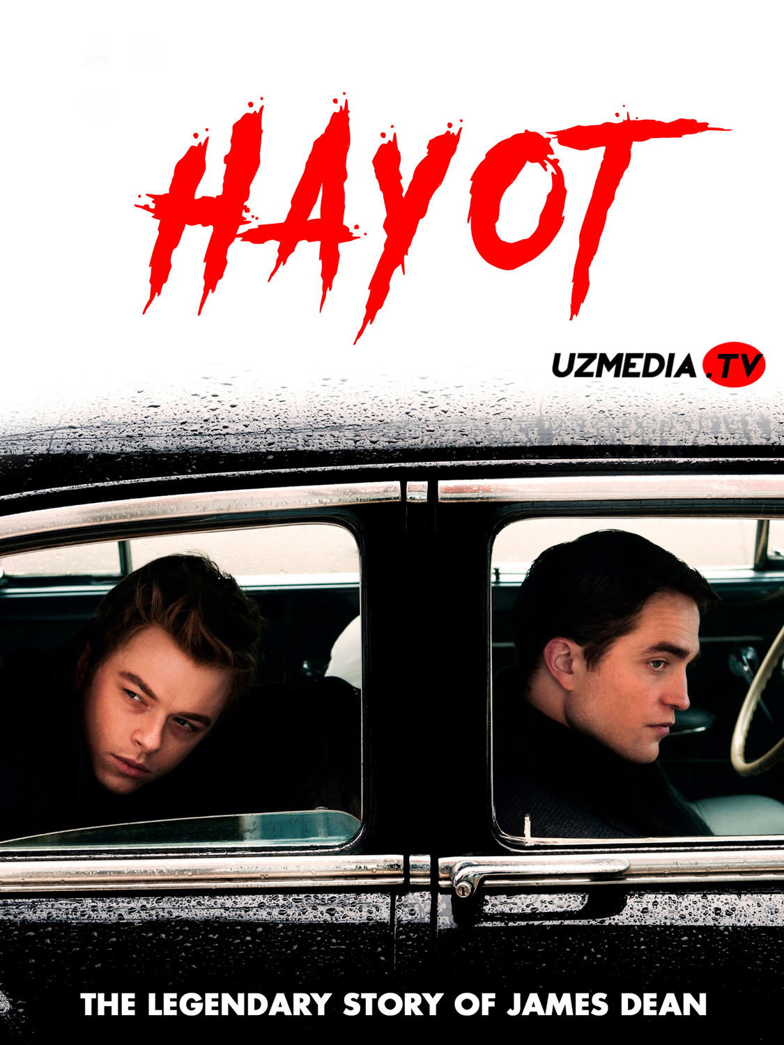 Porno ishqalab mushuklar