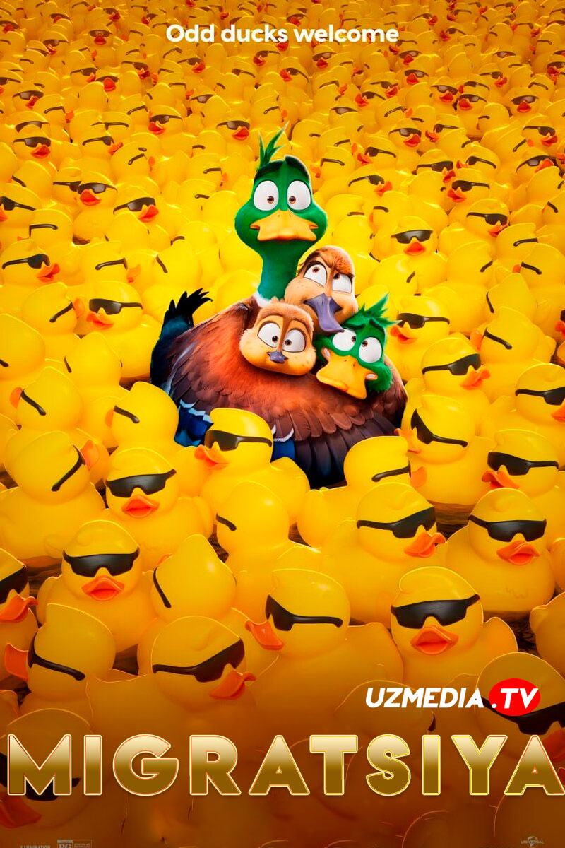 Migratsiya / Migrant / Janubga parvoz Multfilm Uzbek tilida O'zbekcha 2023 tarjima multfilm Full HD skachat